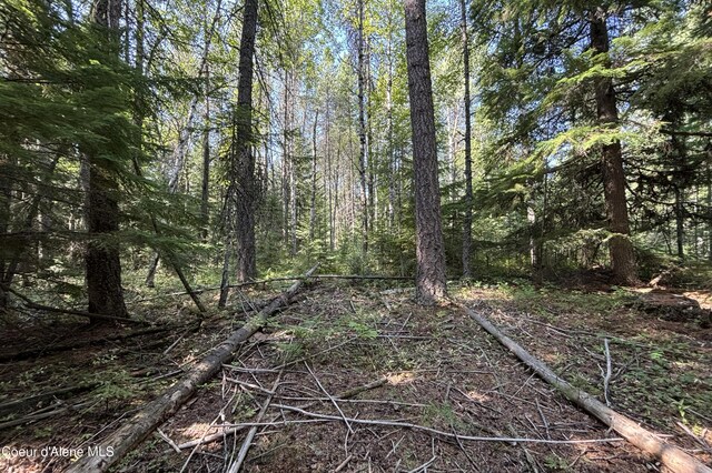 LOT14 Ridge Way, Sandpoint, ID 83864 - photo 5