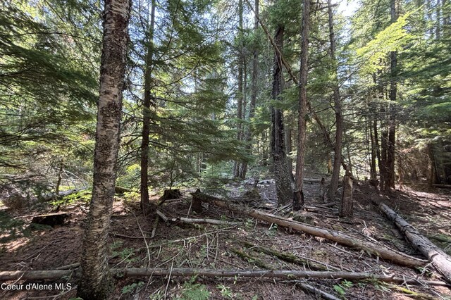 LOT14 Ridge Way, Sandpoint, ID 83864 - photo 12