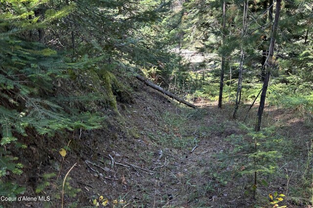 LOT14 Ridge Way, Sandpoint, ID 83864 - photo 4