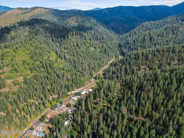 birds eye view of property featuring a mountain view