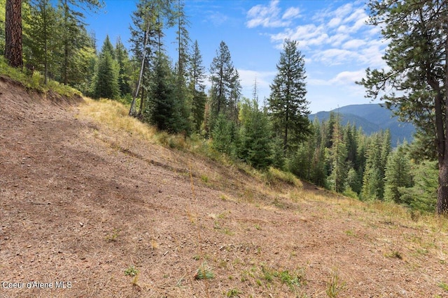 view of local wilderness