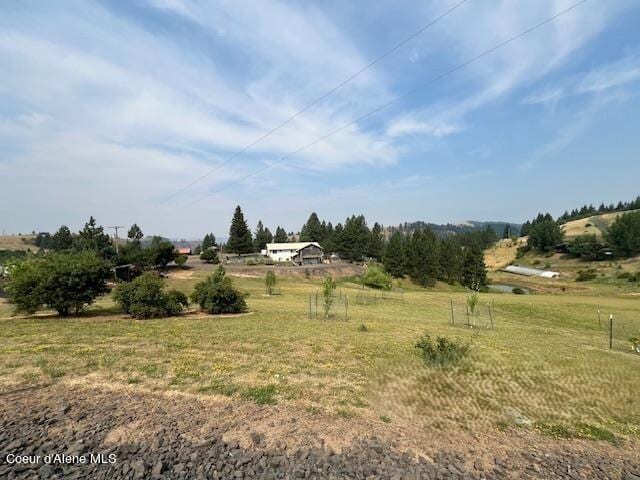 view of yard featuring a rural view