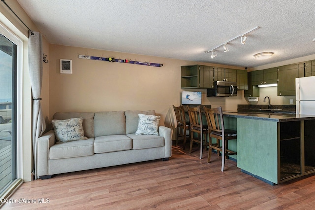 living room with sink, a textured ceiling, track lighting, and wood-type flooring