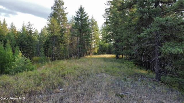 NNA N Tahoe Dr, Spirit Lake ID, 83869 land for sale