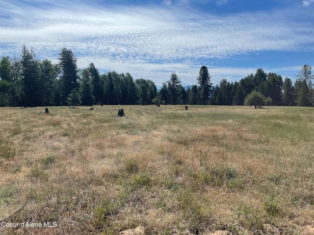 79.5ACRES W Peninsula Rd, Priest River, ID 83856 - photo 6