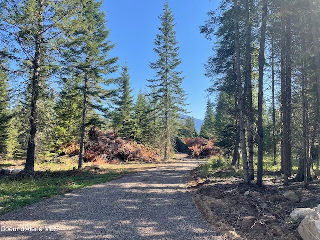 255 Cabinet Gorge Rd, Clark Fork ID, 83811 land for sale