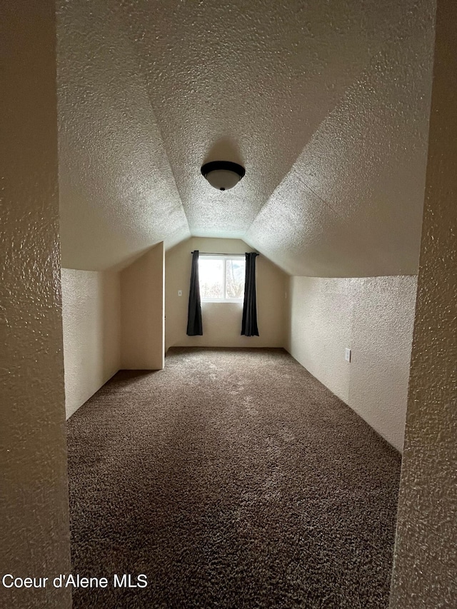 additional living space with carpet, vaulted ceiling, and a textured ceiling