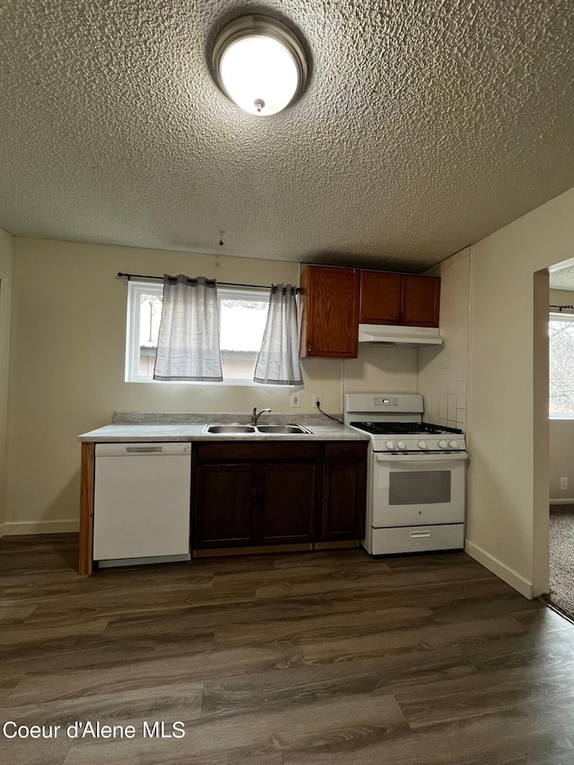 kitchen with a wealth of natural light, sink, dark wood-type flooring, and white appliances