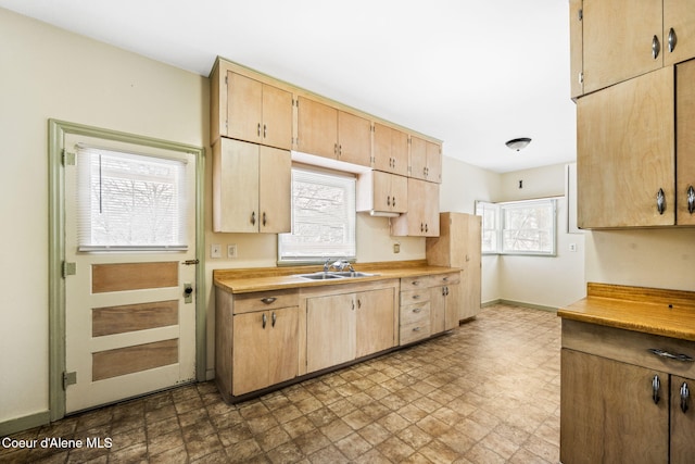 kitchen featuring light brown cabinetry, plenty of natural light, and sink