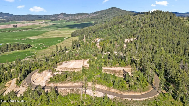 LOT12 Lone Moose Dr, Plummer ID, 83851 land for sale