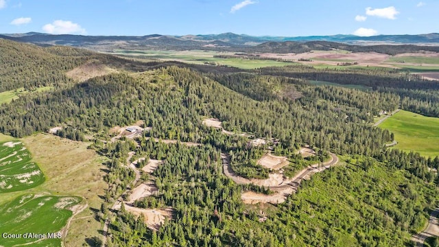 LOT12 Lone Moose Dr, Plummer, ID 83851