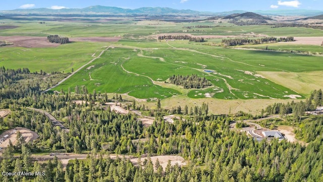 LOT12 Lone Moose Dr, Plummer, ID 83851