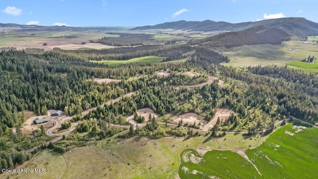 LOT12 Lone Moose Dr, Plummer, ID 83851