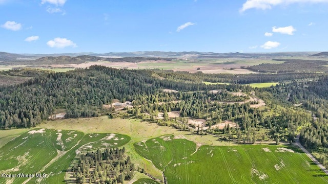 LOT12 Lone Moose Dr, Plummer, ID 83851