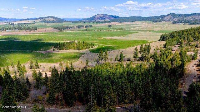 LOT12 Lone Moose Dr, Plummer, ID 83851