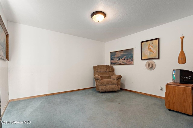 living area with carpet flooring