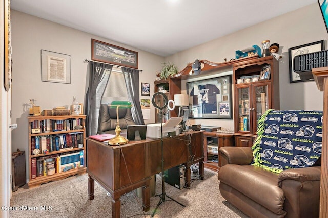 home office featuring carpet