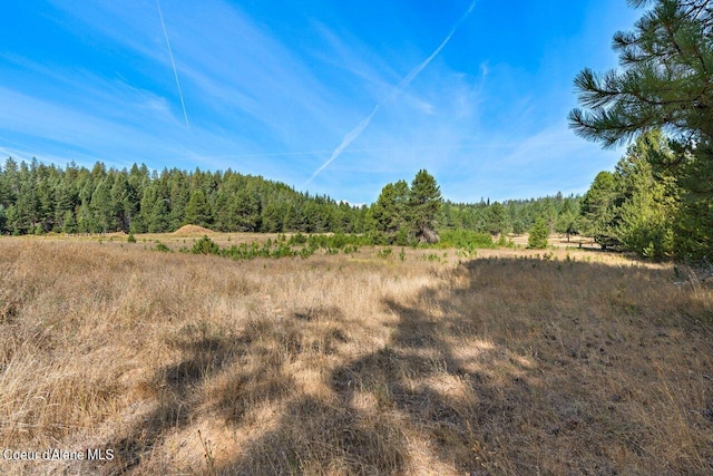 view of nature featuring a wooded view