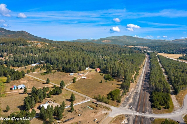 birds eye view of property featuring a mountain view