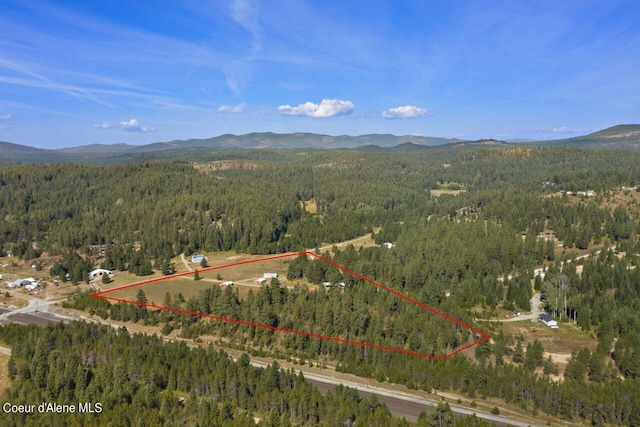 birds eye view of property featuring a mountain view