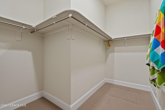 8491 N Mckinley Ln, Hayden, ID 83835 - spacious closet featuring carpet flooring