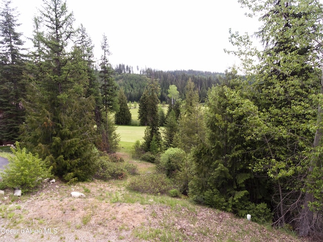 Listing photo 2 for LOT4 Long Dr, Priest Lake ID 83856