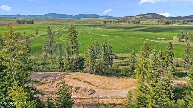 LOT2 Lone Moose Dr, Plummer ID, 83851 land for sale