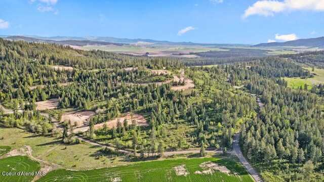 LOT2 Lone Moose Dr, Plummer, ID 83851