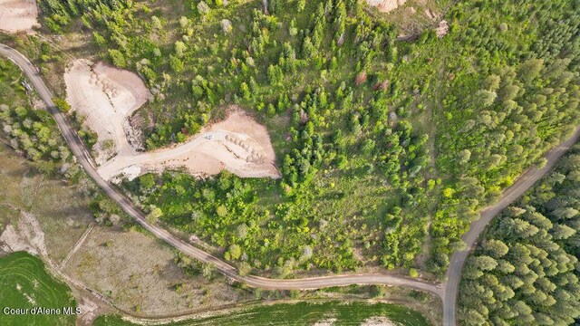 LOT2 Lone Moose Dr, Plummer, ID 83851