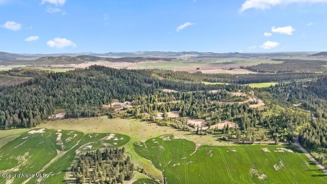 LOT2 Lone Moose Dr, Plummer, ID 83851