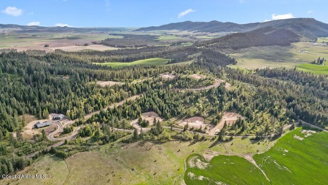 LOT2 Lone Moose Dr, Plummer, ID 83851