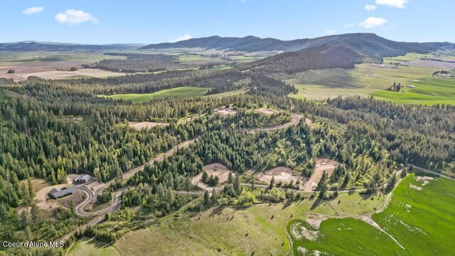 LOT2 Lone Moose Dr, Plummer, ID 83851