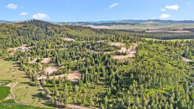 LOT2 Lone Moose Dr, Plummer, ID 83851