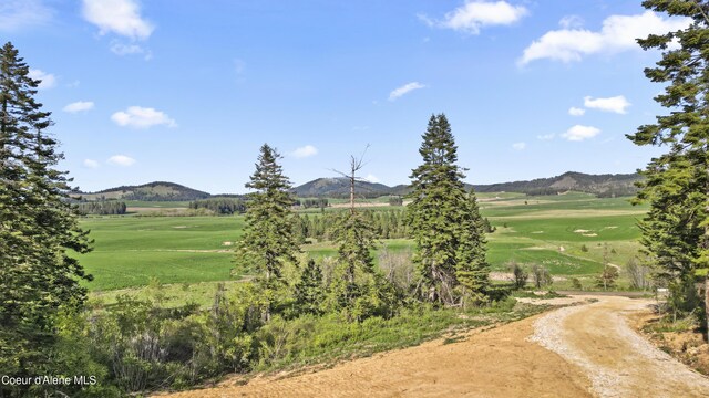 LOT2 Lone Moose Dr, Plummer, ID 83851