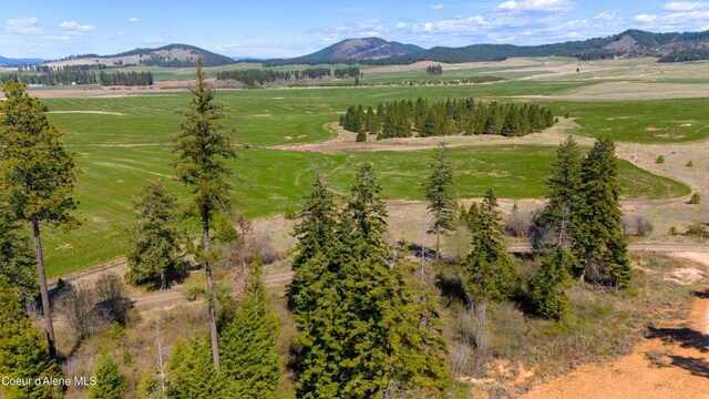 LOT2 Lone Moose Dr, Plummer, ID 83851