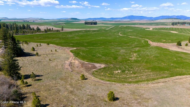 LOT2 Lone Moose Dr, Plummer, ID 83851