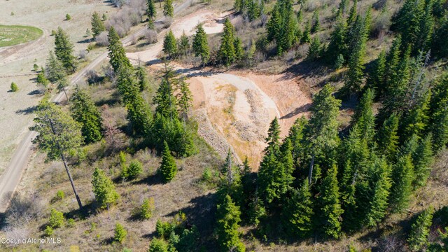 LOT2 Lone Moose Dr, Plummer, ID 83851