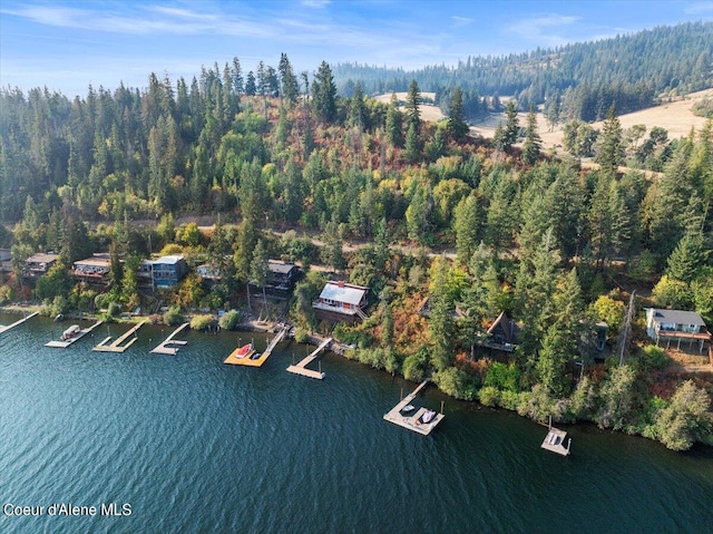 aerial view with a water view and a view of trees