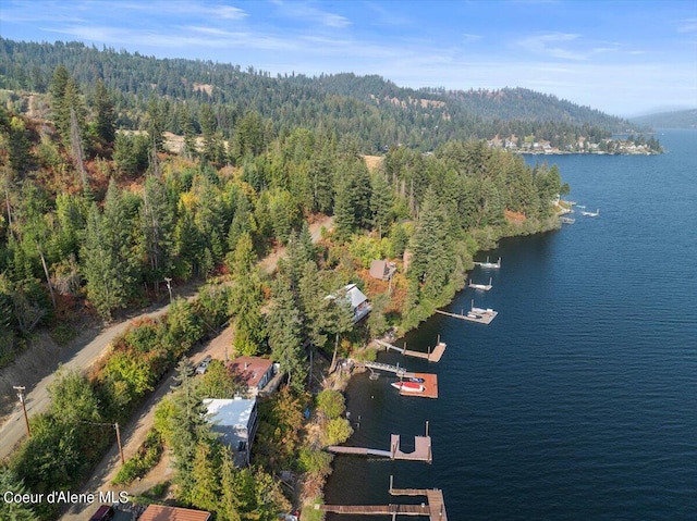 bird's eye view featuring a water view and a view of trees