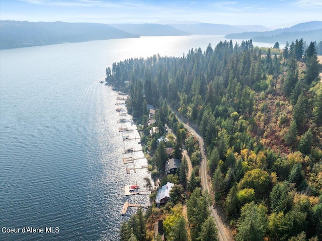 birds eye view of property featuring a water and mountain view