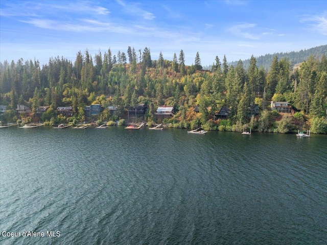 aerial view featuring a water view and a wooded view