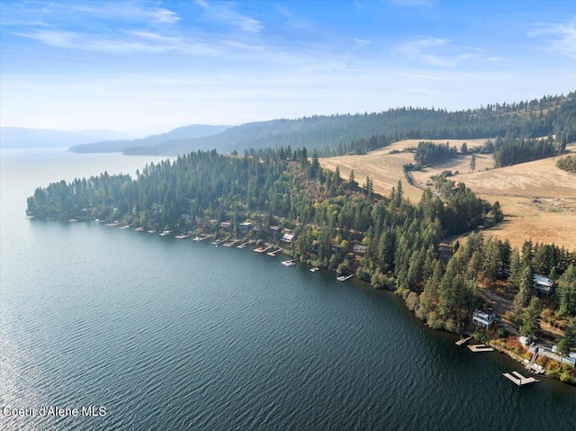 aerial view featuring a water view and a view of trees