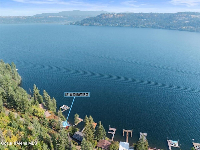 drone / aerial view with a water and mountain view