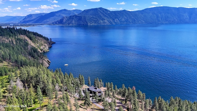 property view of water with a mountain view