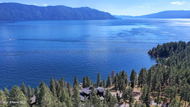 water view featuring a mountain view