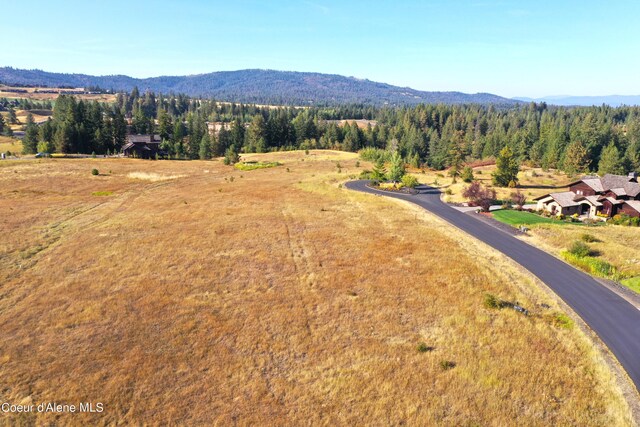 L233 S Citrine Dr, Coeur Dalene, ID 83814