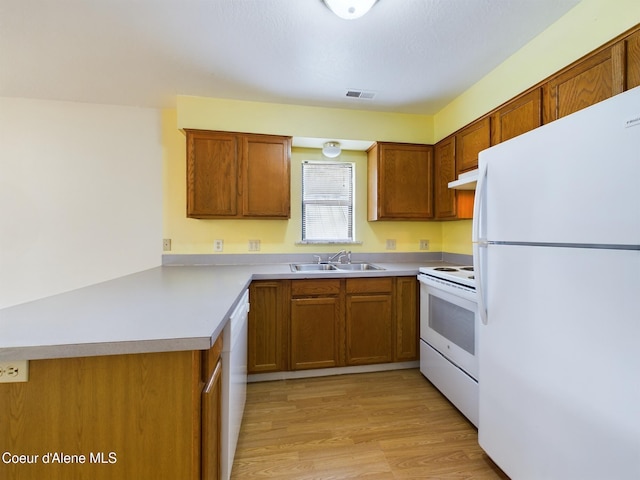 kitchen with sink, light hardwood / wood-style floors, and white appliances