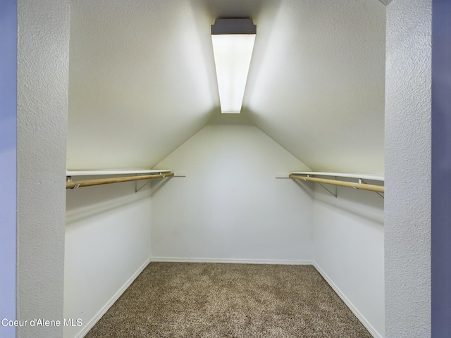 walk in closet featuring lofted ceiling and carpet floors