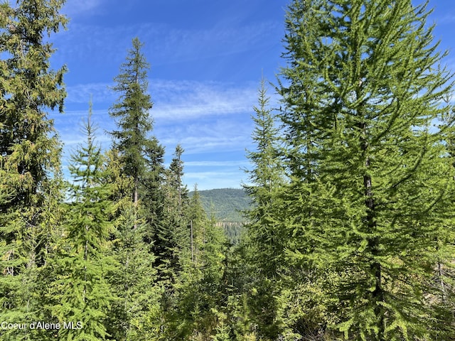 2211 Alpine Dr, Fernwood, ID 83830