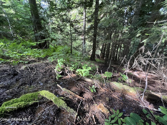 2211 Alpine Dr, Fernwood, ID 83830